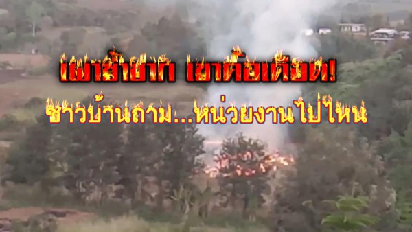 พอค่ำควันโขมงกลางเขาค้อ! แฉคลิปเผาอีกแล้ว ห่างบ้านกำนันสะเดาะพงแค่ 7–800 เมตร — ชาวบ้านตั้งคำถาม ใครเดือดร้อนก็ช่างมัน?