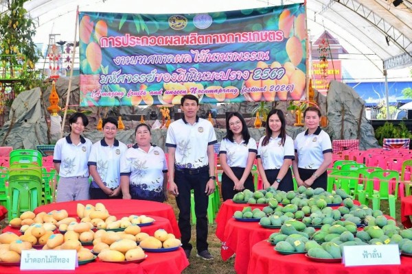 อละไพ” กวาดเรียบ! เวทีมะม่วงเนินมะปราง ชนะหลายรางวัล สะท้อนศักยภาพสวนผลไม้คุณภาพของชาวสวน