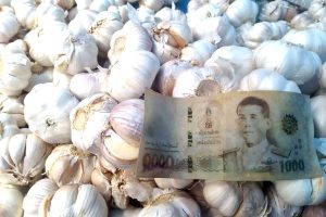ชายแดนหนองคาย:แบงก์ปลอมระบาดในตลาดนัดจุดผ่อนปรน ไทย-ลาว บ้านเปงจาน แม่ค้าชาวลาวเจอไป 3 พัน แทบร้องให้ กว่าจะรู้ตัวมิจฉาชีพก็เผ่นแน่บ