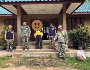 รวบพรานป่าลอบล่าสัตว์สงวนพร้อมของกลางอ้างไม่รู้ตามเคย