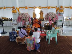 ปทุมธานี 2 สาวแก้บนหลังไอ้ไข่วัดบึงบาดลให้งานสมหวัง ท้าวเวสฯดลให้ยอดขายออนไลน์ทะเป้าทุกเดือน