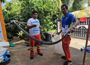 สุรินทร์ — ตกใจแทบช็อค! เห็นงูตัวใหญ่เข้าบ้านคิดว่างูเห่า จับได้จริงๆ เป็นงูสิง คาดมาให้โชค
