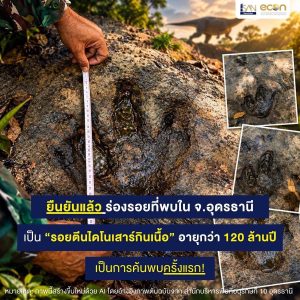 ยืนยันแล้ว ร่องรอยที่พบใน จ.อุดรธานี เป็น “รอยตีนไดโนเสาร์กินเนื้อ” อายุกว่า 120 ล้านปี เป็นการค้นพบครั้งแรกในอุดรธานี‼️🦖🗺️🔎